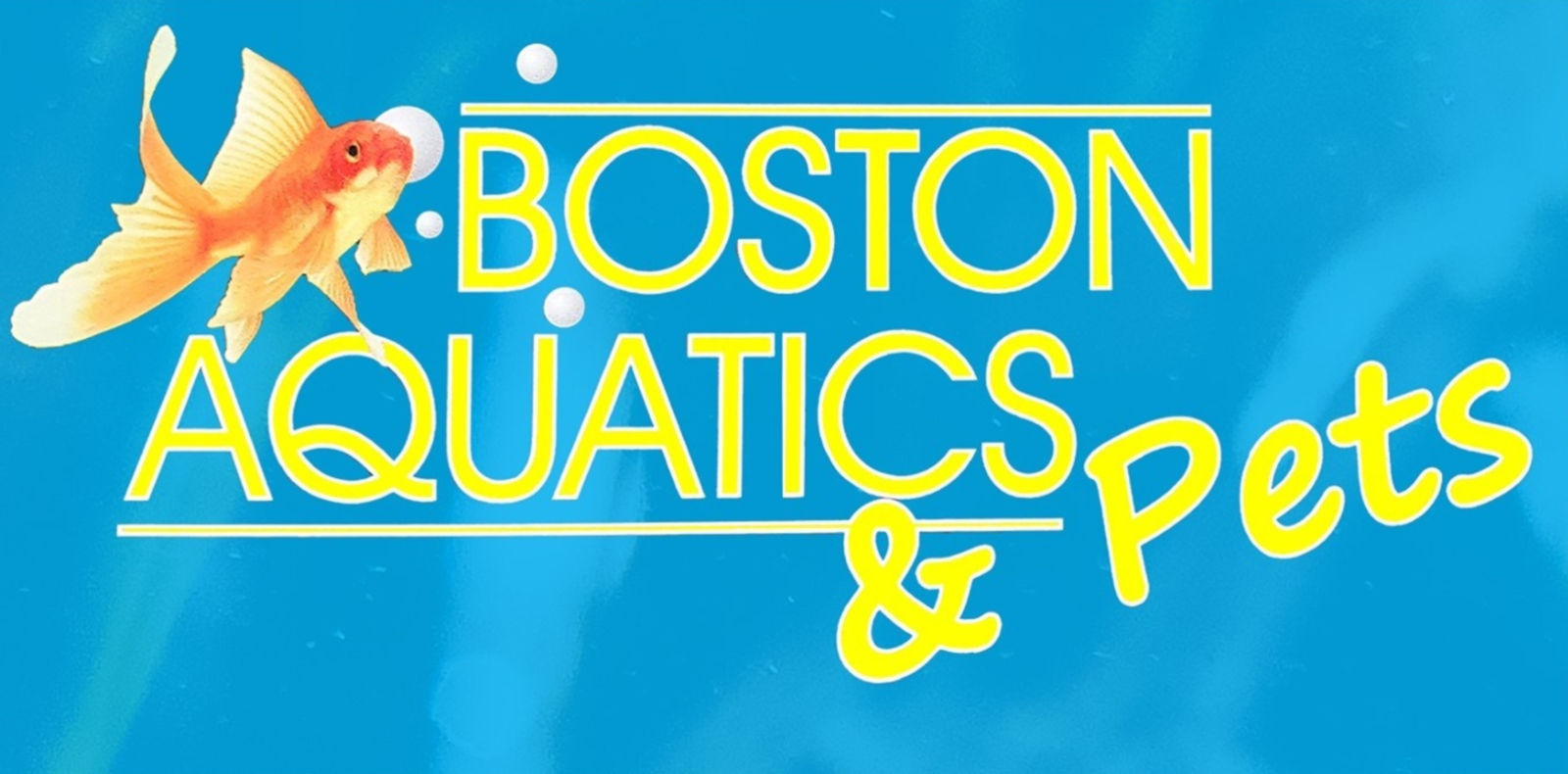 Boston Aquatics and Pets